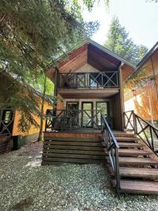 Green Forest - 101