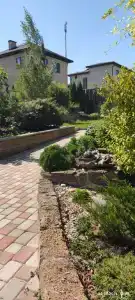 Верба на Высоком берегу - 17