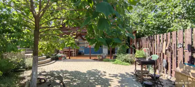 Верба на Высоком берегу - 18