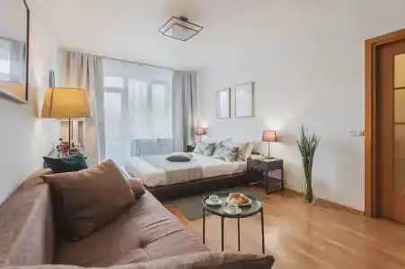 GM 2 rooms flat Patriarshie view - 10