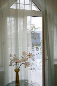 Белый лотос - 145