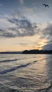 Green Island - 71