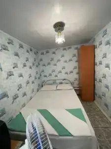 Берёзка - 23