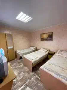 Берёзка - 29