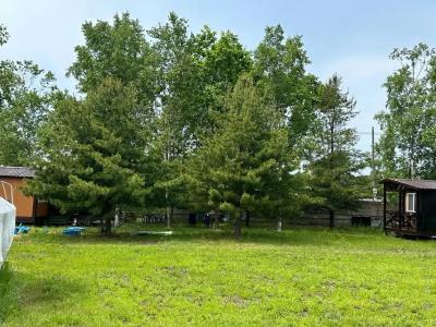 Золотари - 13