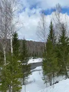 Панорамный - 145
