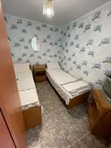 Берёзка - 33
