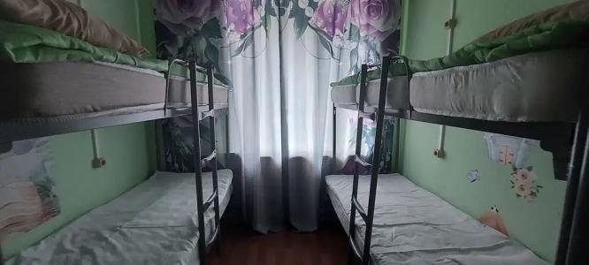 Спутник - 30