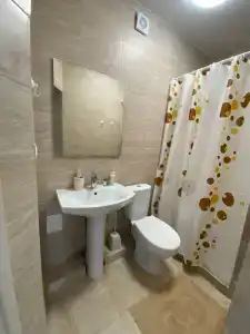 Сантолина - 140