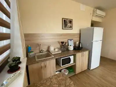 Сантолина - 234