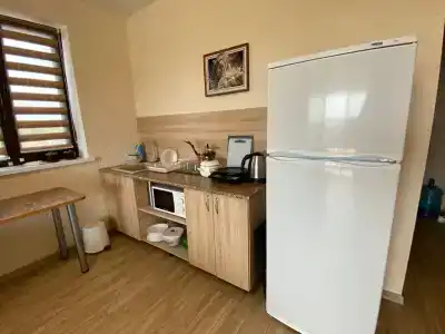 Сантолина - 238