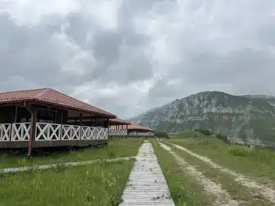 Старый Сивух - 100