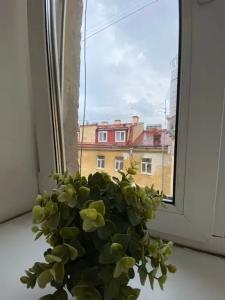Исаакиевский - 52