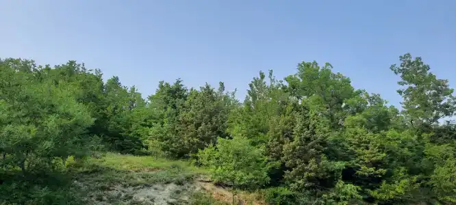 На Ленина - 9