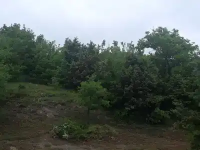 На Ленина - 10