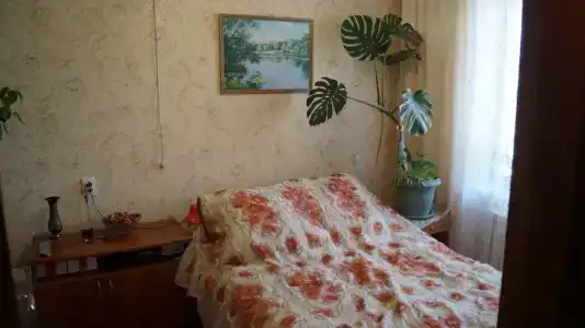 Фея - 7