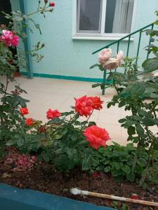 В Долине Роз - 135