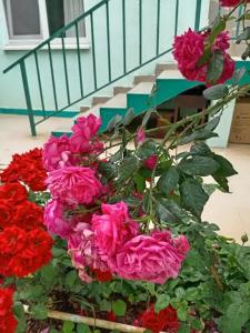 В Долине Роз - 138