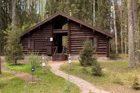 Романов Лес - 57