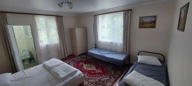 Домик в горах по дороге на Рицу - 109