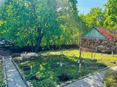 Лесная усадьба - 23