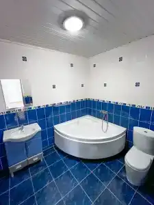 Долина Алтая - 101