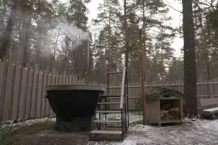 Хвоя в горах - 163