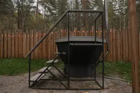 Хвоя в горах - 164