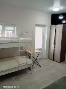 Анютины глазки - 38