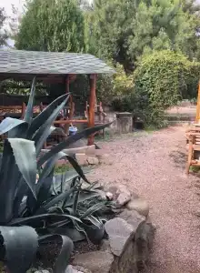 Владислава - 86