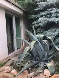 Владислава - 91