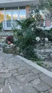 Владислава - 114