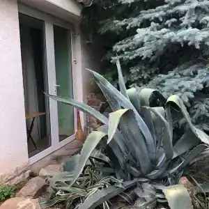 Владислава - 116