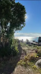 Владислава - 136