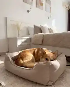 Московский Квартал - 33