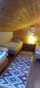 Конный двор Лощинино - 113