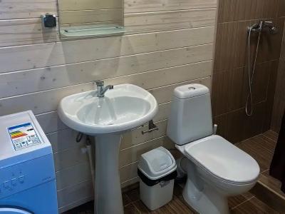 Альтаир - 115