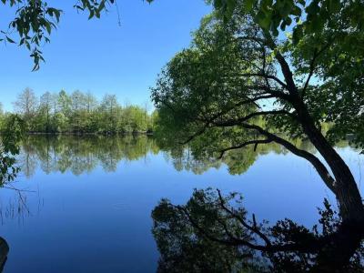 Рекаоблака - 71