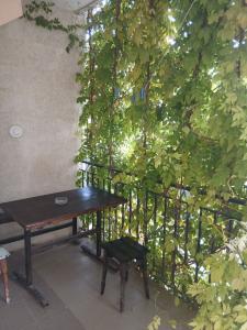 Талисман - 16