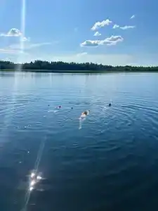 Гуляй-город - 42