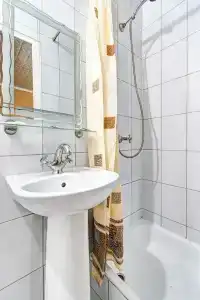 Азалия-Мимоза - 37