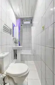 Азалия-Мимоза - 40