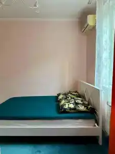 Тара - 161