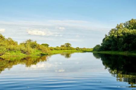 Берлога Hall - 20