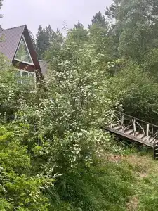 Байкальский край - 51