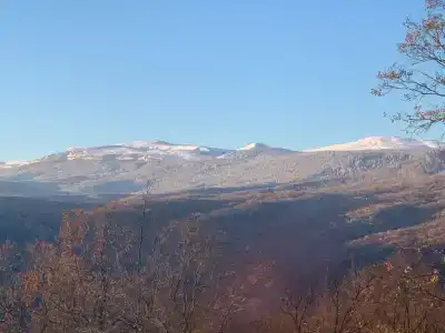 Лагонаки Глэмп - 40