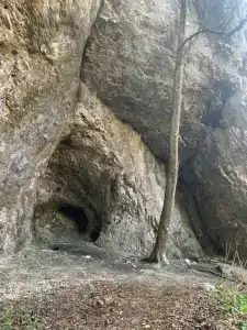Лагонаки Глэмп - 46