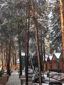 Dom Eco-Hotel - 58