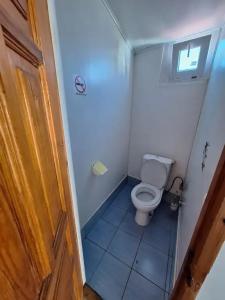 Ирий - 81