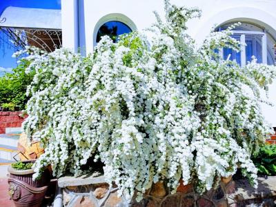 Домашний очаг - 44